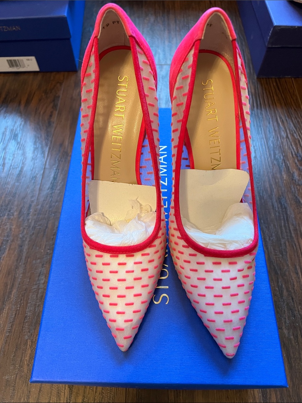 Stuart Weitzman Tasha 100 Dash Mesh Pump in hot pink🦩